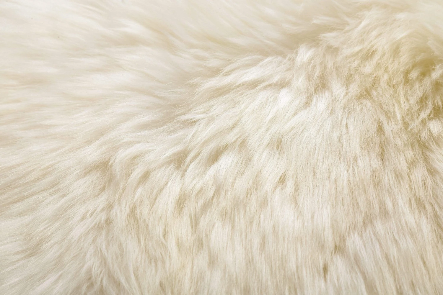 Premium Australian Sheepskin Single Long Wool Rug 185cm 12 Premium Australian Sheepskin Single Long Wool Rug 185cm - Image 11