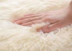 Premium Australian Sheepskin Single Long Wool Rug 185cm 26 Premium Australian Sheepskin Single Long Wool Rug 185cm -Shoe Store rugs ta premium australian sheepskin single long wool rug 185cm 13