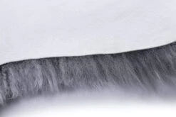 Premium Australian Sheepskin Single Long Wool Rug 185cm 20 Premium Australian Sheepskin Single Long Wool Rug 185cm -Shoe Store rugs ta premium australian sheepskin single long wool rug 185cm 7